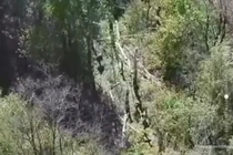 Ảnh cắt từ clip.