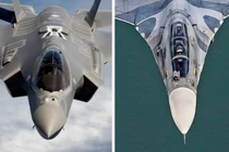 Chiến đấu cơ F-35 (trái) của Mỹ và Su-30MK2 của Venezuela. Ảnh: MW.