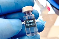 Vaccine mRNA Enteromix của Nga cho thấy hiệu quả và độ an toàn 100% trong thử nghiệm lâm sàng. Ảnh: Getty.