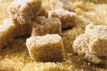 Ảnh minh họa: GLP.