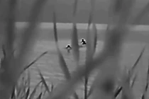 Ảnh cắt từ clip