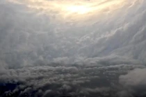 Ảnh cắt từ clip.