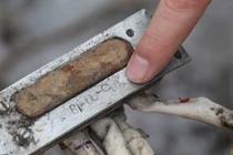 Một phần của tên lửa không xác định, mà chính quyền Ukraine tin rằng được sản xuất tại Triều Tiên và đã được sử dụng trong một cuộc tấn công ở Kharkiv vào đầu tuần này. Ảnh: Reuters.