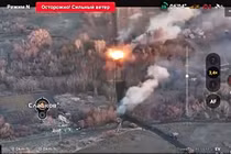 Ảnh cắt từ clip.