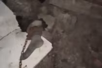 Ảnh cắt từ clip.