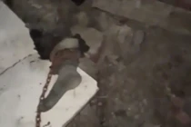 Ảnh cắt từ clip.