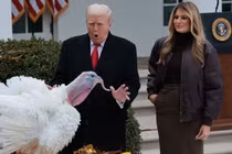 Tổng thống Mỹ Donald Trump và đệ nhất phu nhân Melania Trump bên cạnh Gobble, một trong hai chú gà tây được ân xá trong Lễ Tạ ơn, tại Vườn Hồng ở Nhà Trắng ở Washington, D.C., ngày 25/11. Ảnh: Reuters.
