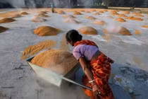 Xuất khẩu gạo của Ấn Độ chiếm 40% tổng lượng xuất khẩu của thế giới (Ảnh: Reuters)