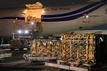 Vũ khí của Mỹ, trong đó có tên lửa chống tăng Javelin, được dỡ xuống sân bay Borispol gần Kiev, Ukraine ngày 25/1/2022 (Ảnh: Getty)