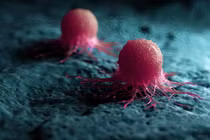 Các nhà nghiên cứu đã xác định được hai enzyme protein đóng vai trò quan trọng trong việc giúp tế bào ung thư tuyến tiền liệt phát triển và kháng lại liệu pháp điều trị. Ảnh: Shutterstock