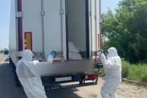 Đoàn xe chở 1.212 thi thể quân nhân Ukraine, ngày 7/6. Ảnh: BQP Nga.