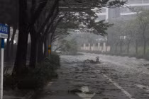 Những cành cây rơi trên đường phố trước khi siêu bão Yagi đổ bộ vào Hải Khẩu, tỉnh Hải Nam, phía nam Trung Quốc (Ảnh: Xinhua)