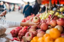 Nhóm nghiên cứu cho biết việc xác định các tác nhân chống khối u từ nguồn tự nhiên, chẳng hạn như chất dinh dưỡng trong chế độ ăn uống, vẫn là một mục tiêu quan trọng trong nghiên cứu ung thư. Ảnh: Shutterstock.