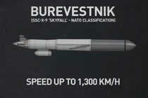 Tên lửa hành trình Burevestnik của Nga. Ảnh: RT.