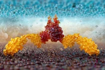 Hình ảnh 3D về liệu pháp CAR-T, cho thấy sự tương tác phân tử giữa tế bào T hoặc tế bào NK và tế bào khối u. Ảnh: Shutterstock.