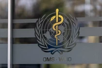 Logo của Tổ chức Y tế Thế (WHO) giới được nhìn thấy tại trụ sở của tổ chức ở Geneva, Thụy Sĩ, ngày 28/1. Ảnh: Reuters.