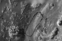 Hình ảnh trong vụ không kích nhằm vào Houthi ở Yemen. Ảnh: X.