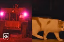 Robot mặt đất được sử dụng để giải cứu (trái) và chú mèo Prapor. Ảnh: IE.