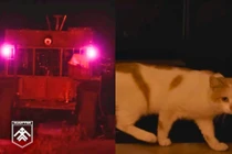 Robot mặt đất được sử dụng để giải cứu (trái) và chú mèo Prapor. Ảnh: IE.