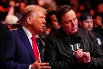 Tổng thống đắc cử Mỹ Donald Trump và Elon Musk tại sự kiện UFC 309 ở thành phố New York ngày 16/11. Ảnh: Getty.