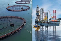 Cơ sở này có khả năng hoạt động trong điều kiện biển động. Ảnh: IE.