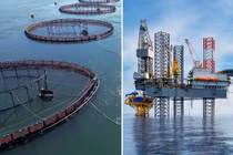 Cơ sở này có khả năng hoạt động trong điều kiện biển động. Ảnh: IE.