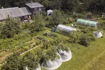 Ngày càng có nhiều người dân Nga tìm về ngôi nhà vườn ở nông thôn để trồng trọt, trong bối cảnh giá thực phẩm tăng cao (Ảnh: WSJ)