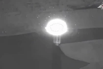 Ảnh cắt từ clip.