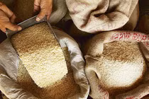 Giá gạo tăng vọt sẽ ảnh hưởng tới những người nghèo nhất trên thế giới (Ảnh: Mint)