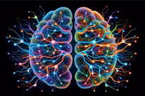 Nhóm nghiên cứu cho biết những phát hiện mới mở ra "con đường rộng lớn" để khám phá những tác động đối với chức năng não và các rối loạn chức năng tiềm ẩn. Ảnh: Shutterstock.