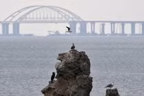 Tờ báo Mỹ cho rằng Washington là bên đã đề xuất công nhận Crimea thuộc Nga trong thỏa thuận hòa bình Ukraine. Ảnh: Sputnik.