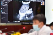 Nền tảng hỗ trợ, tư vấn khám, chữa bệnh từ xa là một trong những giải pháp hiệu quả trong việc giảm bớt tiếp xúc giữa bệnh nhân với bác sĩ.