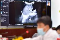 Nền tảng hỗ trợ, tư vấn khám, chữa bệnh từ xa là một trong những giải pháp hiệu quả trong việc giảm bớt tiếp xúc giữa bệnh nhân với bác sĩ.