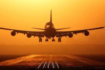 Ảnh minh họa (Nguồn: Internet)