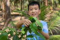 Đào Khương Duy là tấm gương vượt khó học tốt của Trường THCS Huỳnh Tấn Phát, huyện Bình Đại, Bến Tre