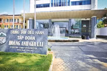 CTCP Gia súc Lơ Pang đặt trụ sở trùng với địa chỉ trung tâm điều hành của Tập đoàn Hoàng Anh Gia Lai