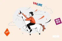 Startup Việt ở đâu trên bản đồ khởi nghiệp thế giới?