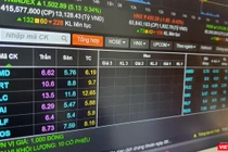 Hàng trăm triệu cổ phiếu ‘họ’ FLC nằm sàn 