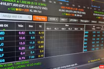 Hàng trăm triệu cổ phiếu ‘họ’ FLC nằm sàn 