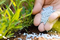 EVS: Triển vọng khả quan giúp kéo dài chu kỳ tăng giá của nhóm phân bón và hoá chất (Ảnh minh hoạ - Nguồn: Internet)