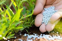 EVS: Triển vọng khả quan giúp kéo dài chu kỳ tăng giá của nhóm phân bón và hoá chất (Ảnh minh hoạ - Nguồn: Internet)