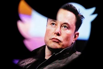 Ai sẽ làm CEO Twitter thay Elon Musk? (Ảnh: Internet)