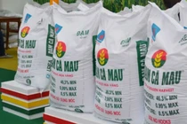 Một cổ phiếu phân bón được khối ngoại mua ròng 10 tháng liên tiếp 