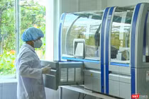 Hệ thống máy xét nghiệm Realtime PCR tự động đang được sử dụng ở CDC Quảng Nam