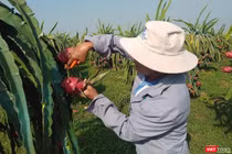 Khi được bảo hộ chỉ dẫn địa lý, đặc sản vùng miền gắn tên với các địa danh của Việt Nam được bảo hộ bằng một cơ chế bảo hộ tương đối mạnh.