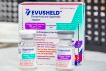 Thuốc Evusheld (ảnh BYT)