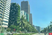 Loạt khách sạn ven biển Đà Nẵng bị xử phạt vì vi phạm các quy định về môi trường và an toàn thực phẩm.