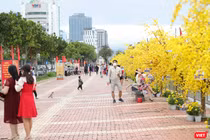 Một góc đường hoa Xuân Bạch Đằng ở Đà Nẵng ngày 29 Tết Nguyên đán Nhâm Dần 2022