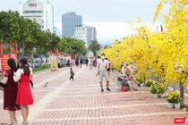 Một góc đường hoa Xuân Bạch Đằng ở Đà Nẵng ngày 29 Tết Nguyên đán Nhâm Dần 2022