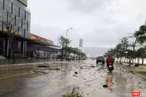 Đường Hoàng Sa (quận Sơn Trà, TP Đà Nẵng) sau bão Noru